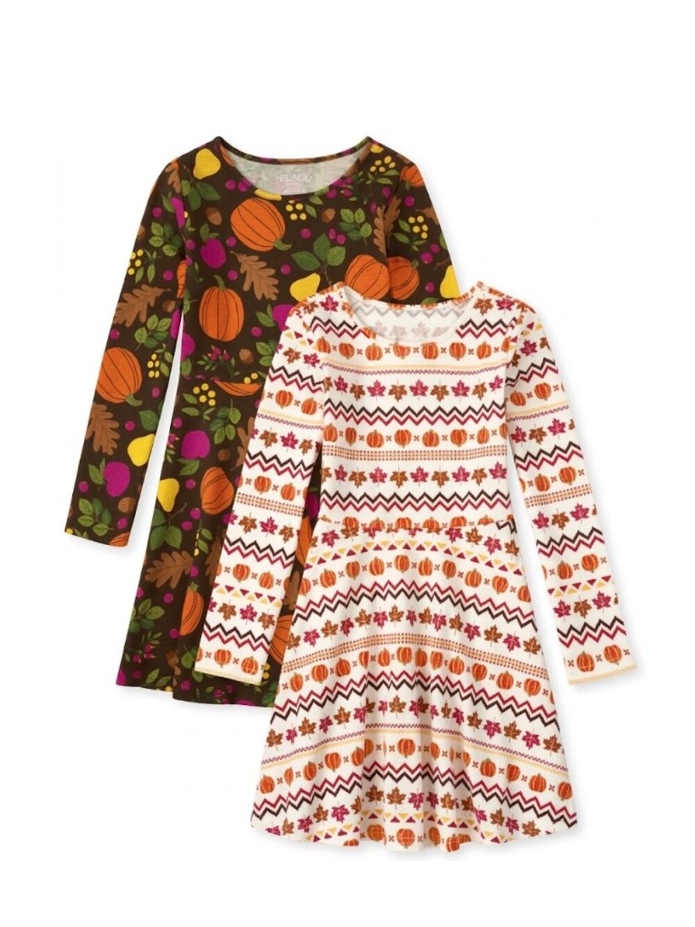 The Children's Place Girls 2-Pack Long Sleeve Fall Print Everyday Skater Dresses